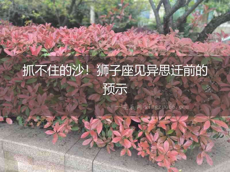 抓不住的沙！獅子座見異思遷前的預示