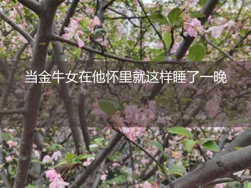 當金牛女在他懷里就這樣睡了一晚