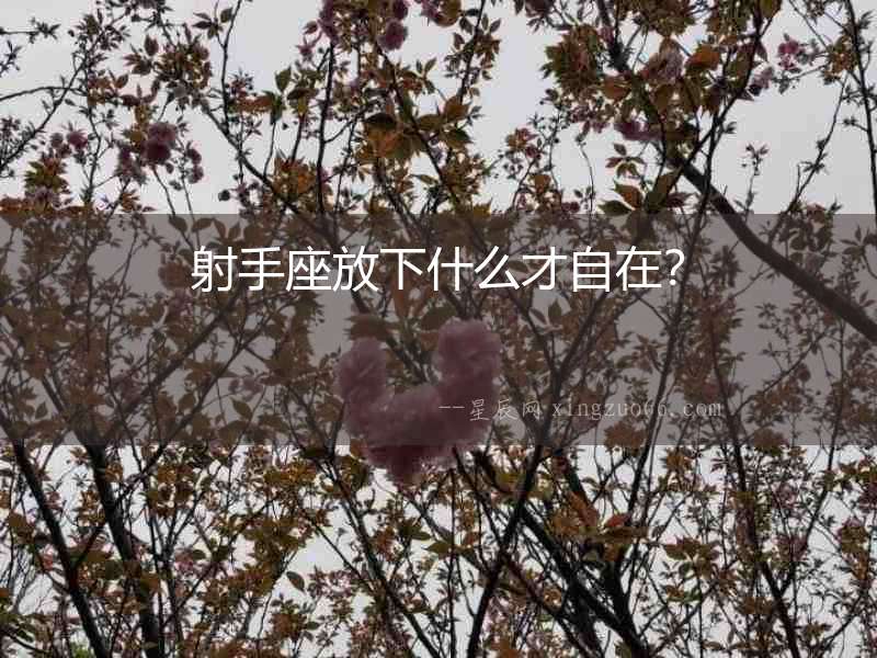 射手座放下什么才自在？