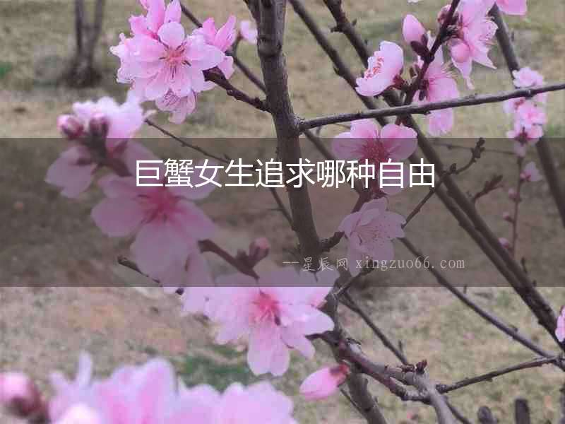 巨蟹女生追求哪種自由