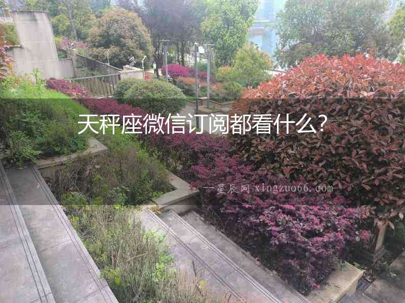 天秤座微信訂閱都看什么？