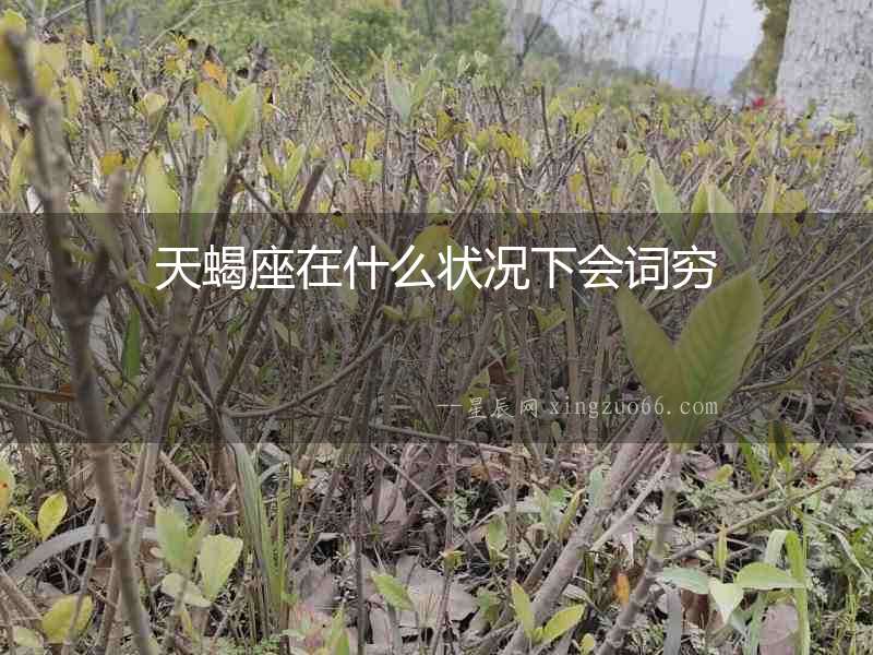 天蝎座在什么狀況下會詞窮