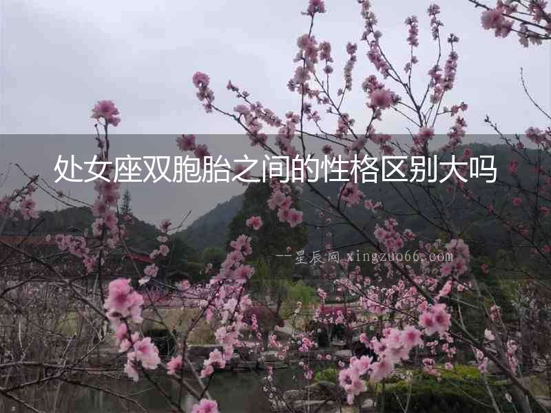 處女座雙胞胎之間的性格區(qū)別大嗎