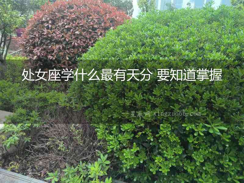 處女座學(xué)什么最有天分 要知道掌握