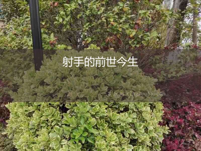 射手的前世今生