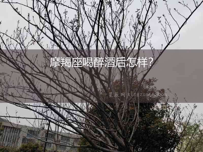 摩羯座喝醉酒后怎樣？