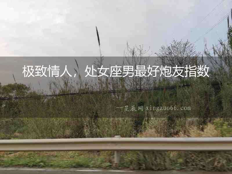 極致情人，處女座男最好炮友指數