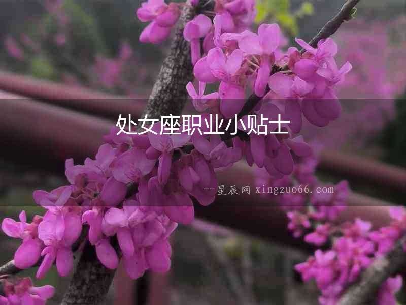 處女座職業小貼士