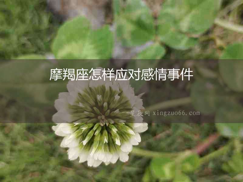 摩羯座怎樣應對感情事件