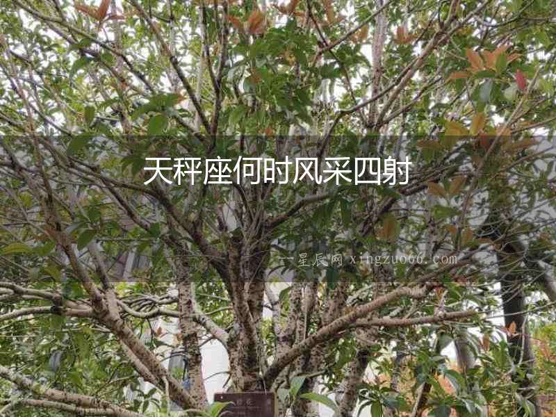 天秤座何時風采四射
