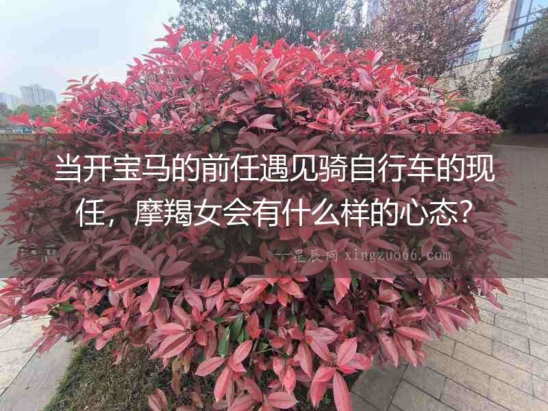 當開寶馬的前任遇見騎自行車的現任，摩羯女會有什么樣的心態？