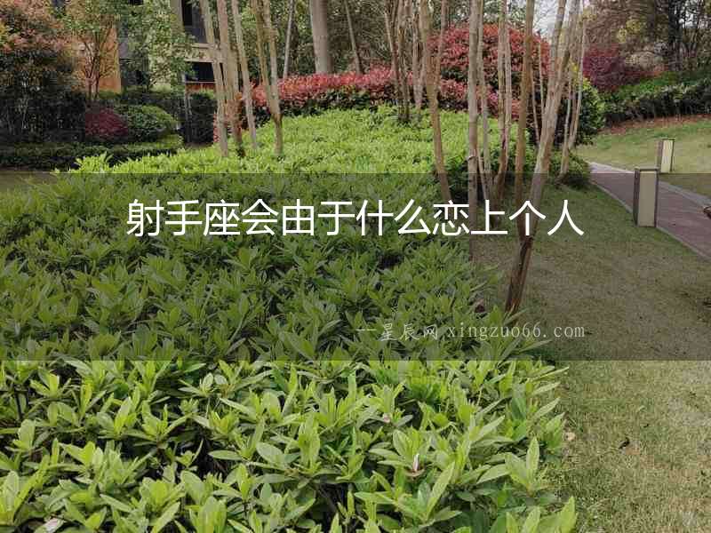 射手座會(huì)由于什么戀上個(gè)人