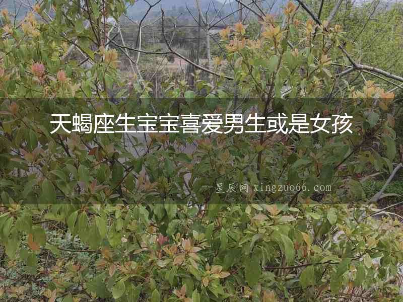 天蝎座生寶寶喜愛男生或是女孩