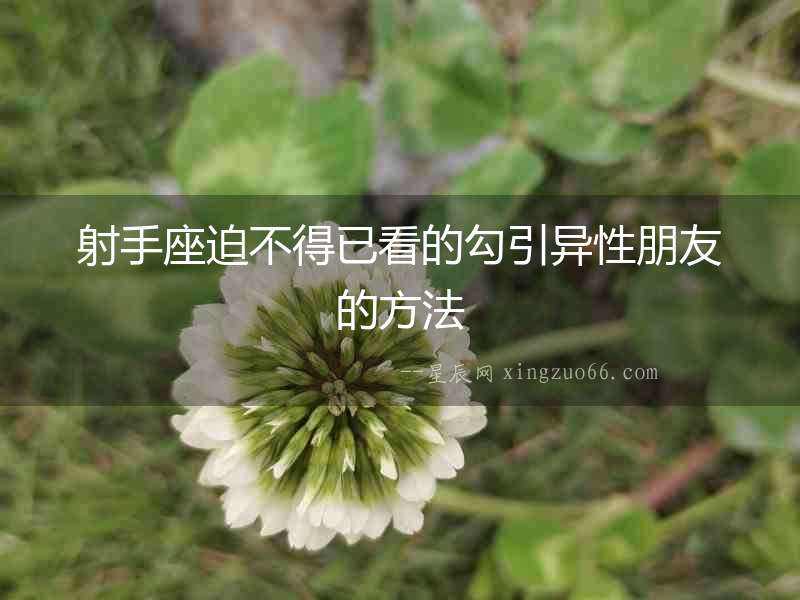 射手座迫不得已看的勾引異性朋友的方法