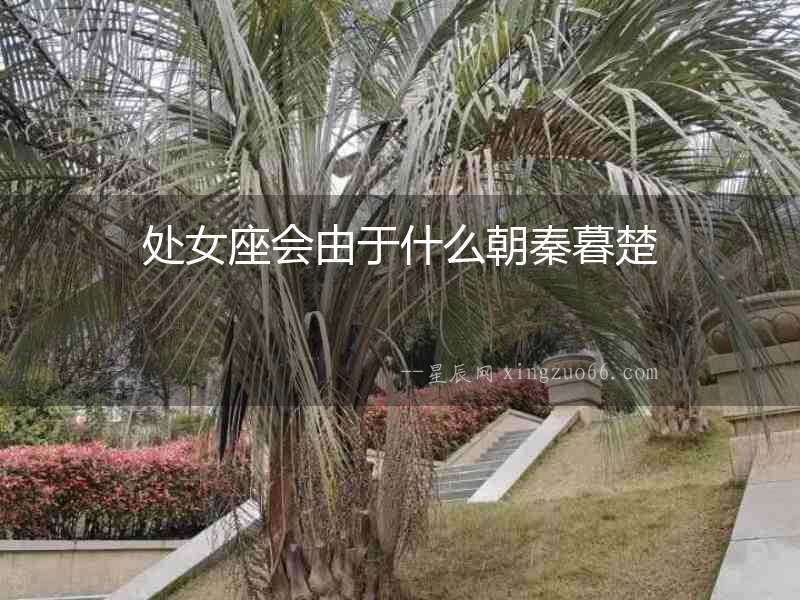 處女座會(huì)由于什么朝秦暮楚