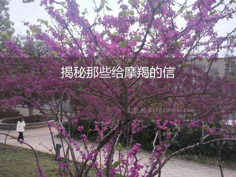 揭秘那些給摩羯的信