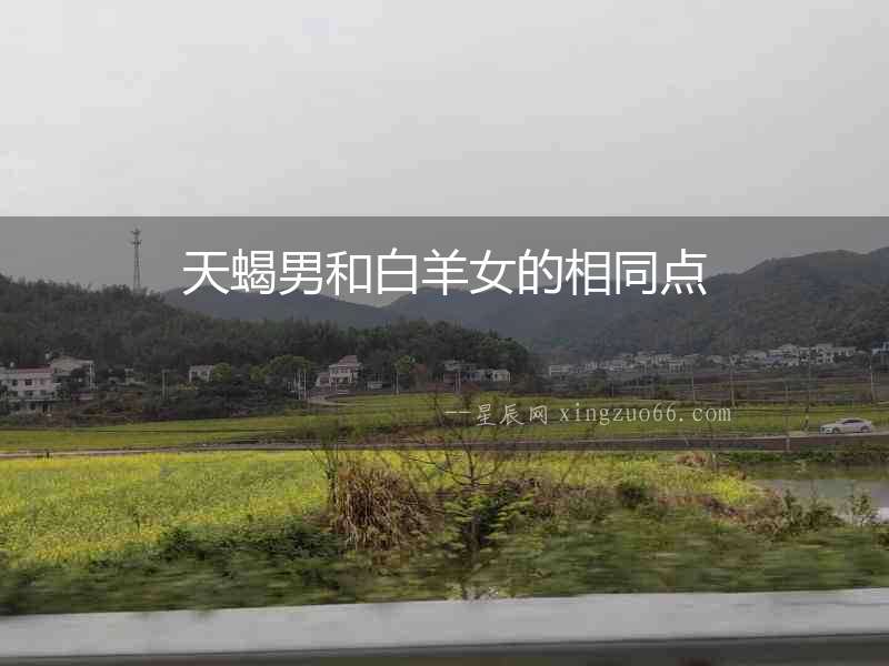 天蝎男和白羊女的相同點
