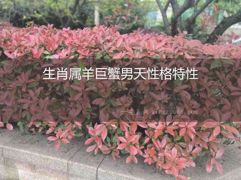 生肖屬羊巨蟹男天性格特性