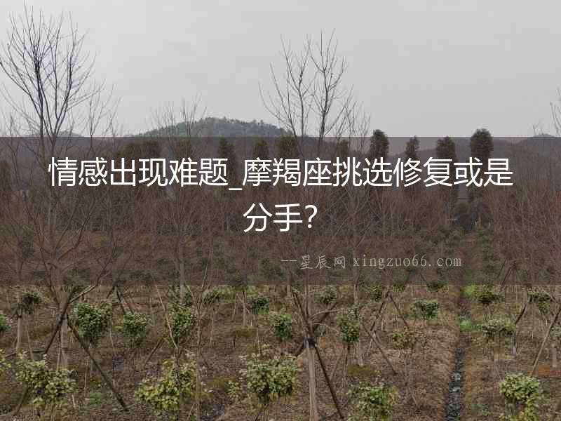 情感出現(xiàn)難題_摩羯座挑選修復(fù)或是分手？