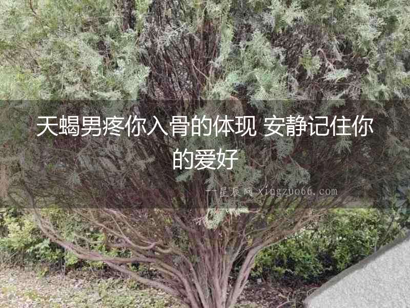 天蝎男疼你入骨的體現 安靜記住你的愛好