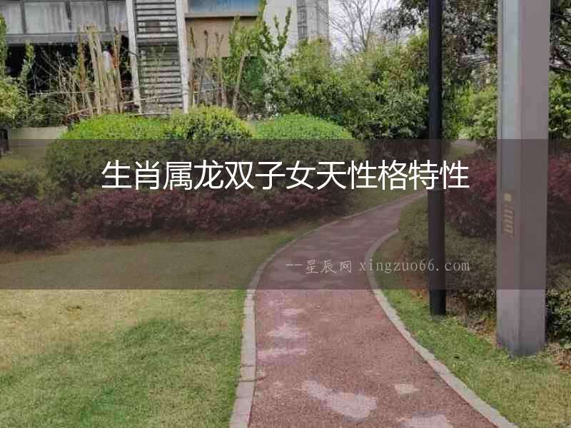 生肖屬龍雙子女天性格特性