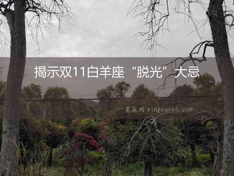 揭示雙11白羊座“脫光”大忌