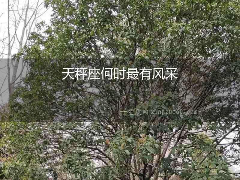 天秤座何時(shí)最有風(fēng)采
