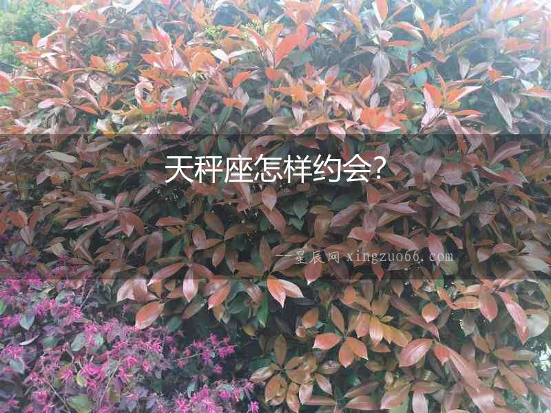 天秤座怎樣約會？
