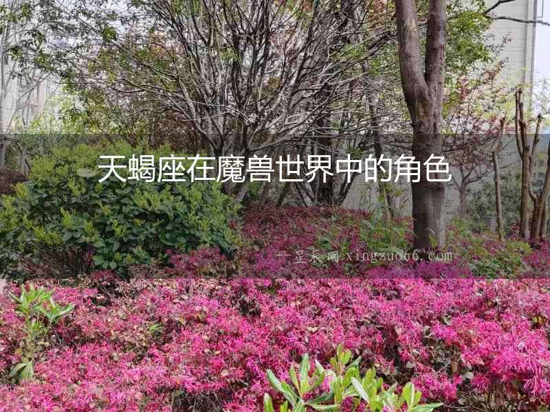 天蝎座在魔獸世界中的角色