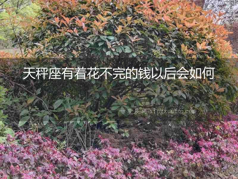 天秤座有著花不完的錢以后會如何