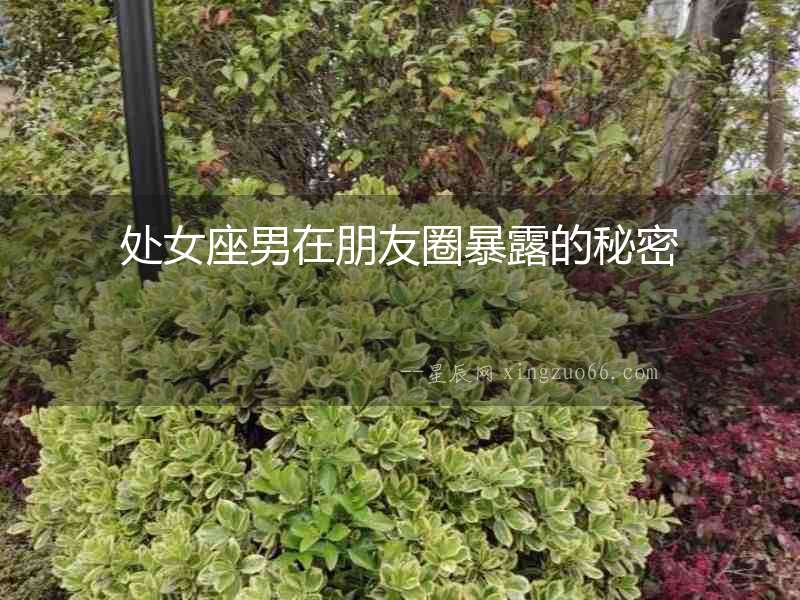 處女座男在朋友圈暴露的秘密