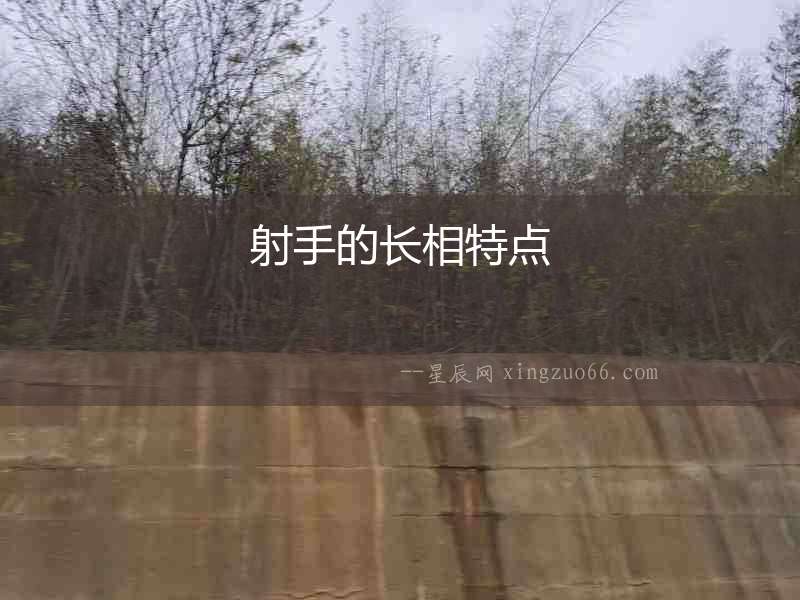 射手的長相特點