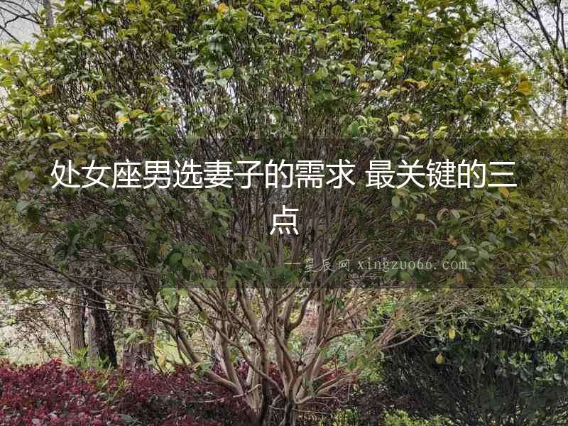 處女座男選妻子的需求 最關(guān)鍵的三點
