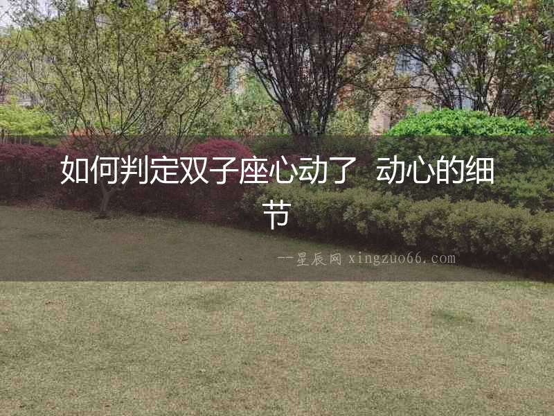 如何判定雙子座心動了  動心的細節