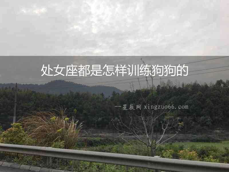 處女座都是怎樣訓(xùn)練狗狗的