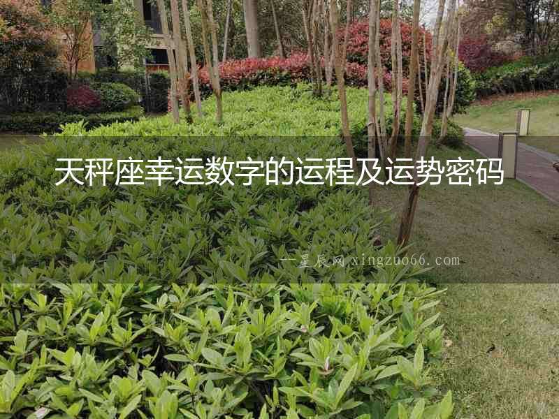 天秤座幸運數字的運程及運勢密碼