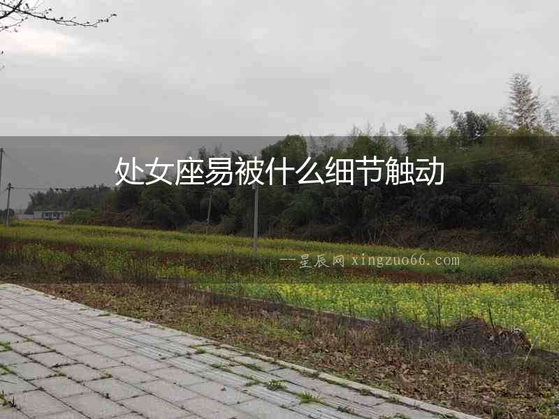 處女座易被什么細節觸動