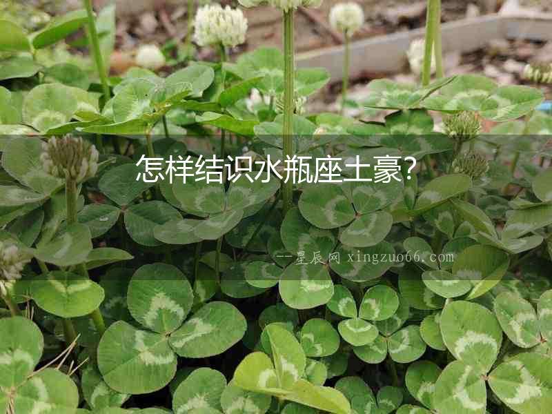 怎樣結識水瓶座土豪？