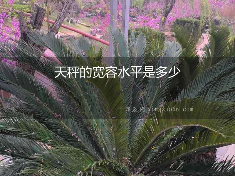天秤的寬容水平是多少