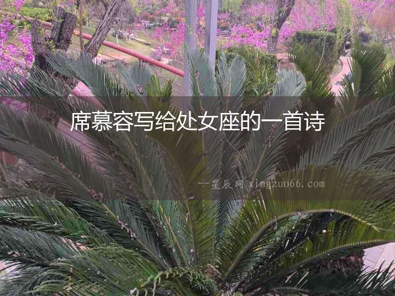 席慕容寫給處女座的一首詩