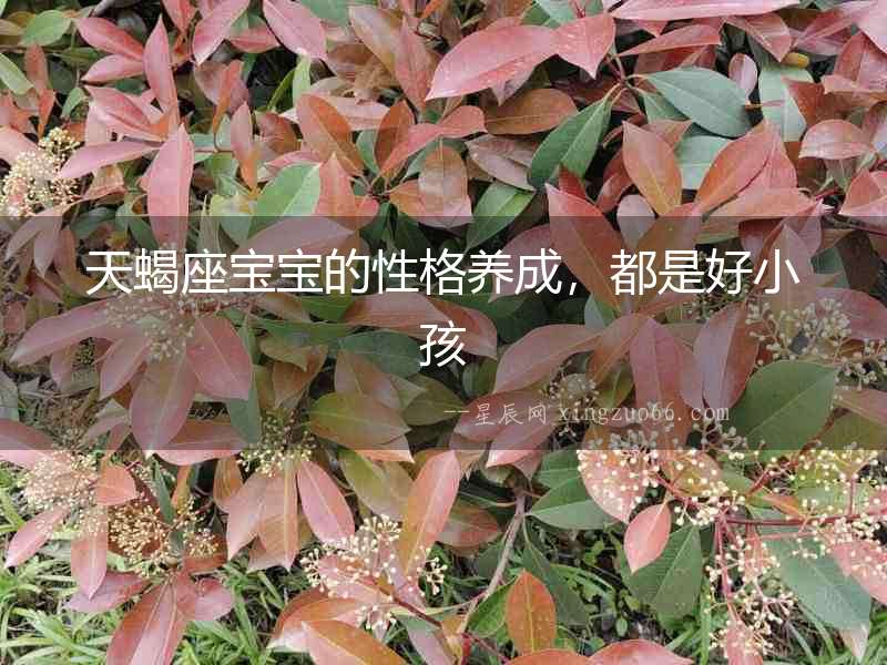 天蝎座寶寶的性格養(yǎng)成，都是好小孩
