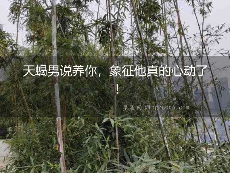天蝎男說(shuō)養(yǎng)你，象征他真的心動(dòng)了！