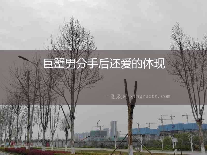 巨蟹男分手后還愛的體現