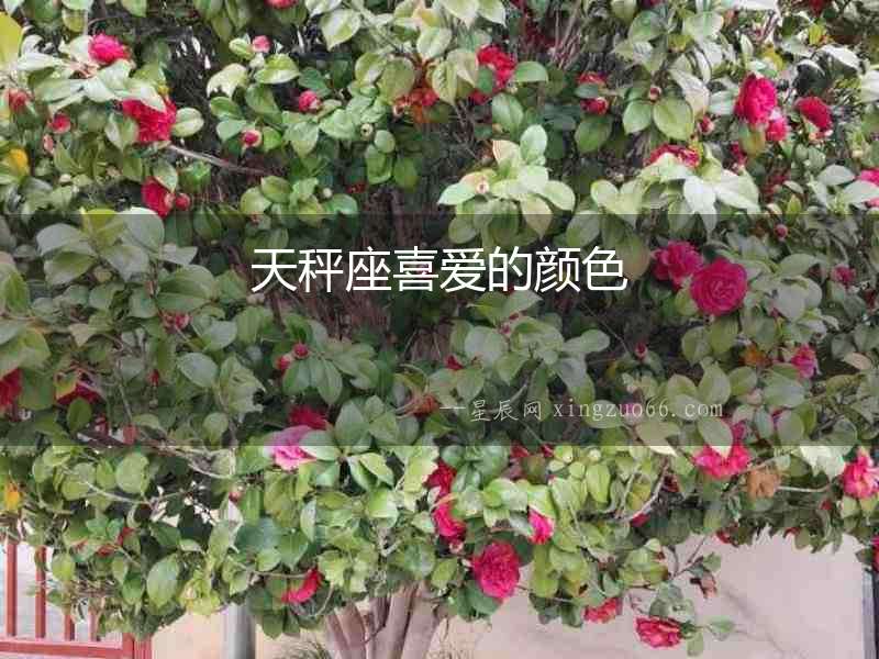 天秤座喜愛的顏色