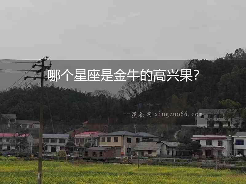 哪個星座是金牛的高興果？