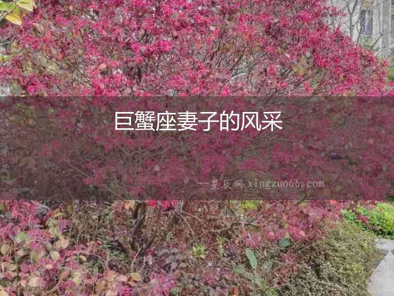 巨蟹座妻子的風(fēng)采