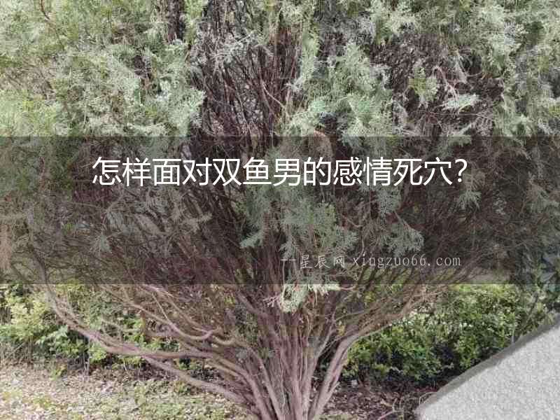 怎樣面對雙魚男的感情死穴？