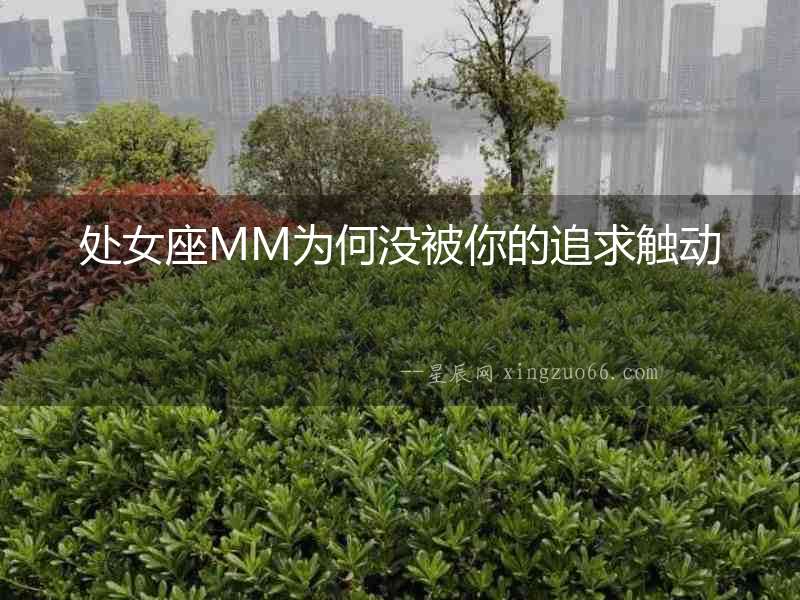 處女座MM為何沒被你的追求觸動