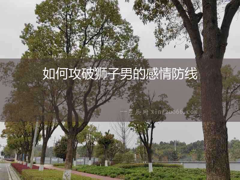 如何攻破獅子男的感情防線