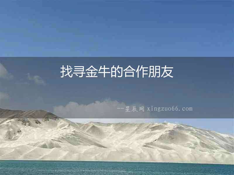 找尋金牛的合作朋友